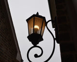 17 Watt LED BR40 Lamp - 3000K - Dimmable