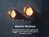 LED-Double Flood-Matte Black-20W 3000K