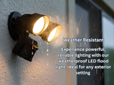 LED-Double Flood-Matte Black(includes Motion Sensor)20W 3000K