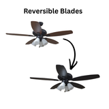 52" 5-Blade UFO Fan MB Black/Walnut Blades 4-Light Clear LED Kit