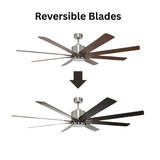 8-Blade 66" NK Fan Silver/Walnut Blades 20W LED 3K,4K,5K