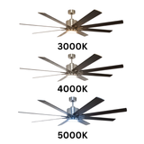8-Blade 66" NK Fan Silver/Walnut Blades 20W LED 3K,4K,5K