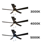 5-Blade 54" MB Modern Damp Location Fan Matte Black Blades Pull Chain 3K, 4K, 5K
