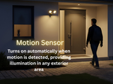 LED-Double Flood-Matte Black(includes Motion Sensor)20W 3000K
